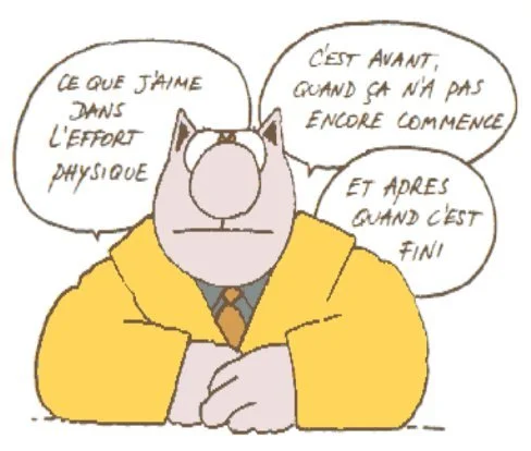 humour-lechat-sportif.webp